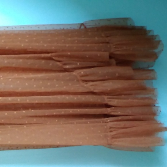 Wax Poetic Isabell Dot Mesh Dress SOLD OUT - Picture 8 of 10